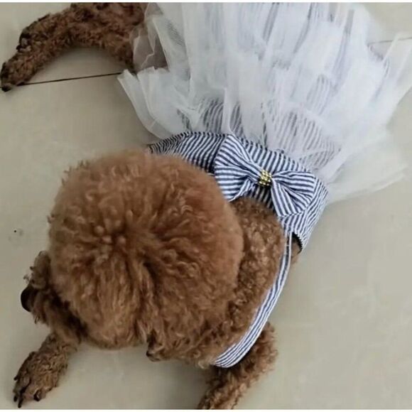 Dog Pet Cat XXL‎ Blue Dress NWOT - Picture 2 of 3